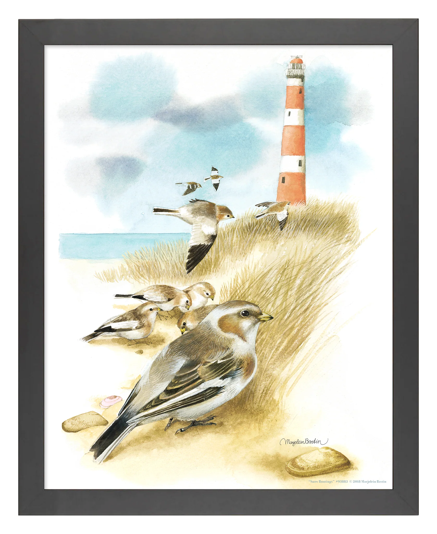 Snow Buntings - 11″ x 14″ Art Print