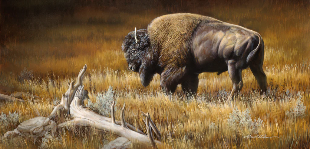 Solemn Giant - Bison - Unstretched Canvas