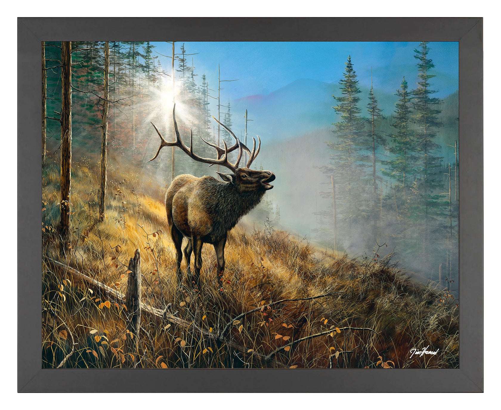 Song in the Mist - Bull Elk - 11″ x 14″ Art Print