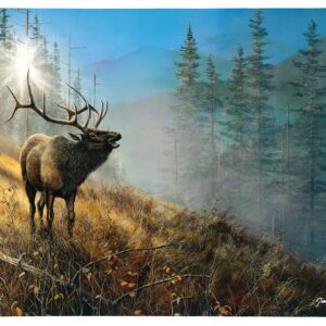 Song in the Mist - Bull Elk - 11" x 14" Gallery Wrapped Canvas