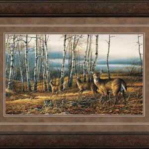 The Birch Line - Whitetail Deer - Framed Elite Print