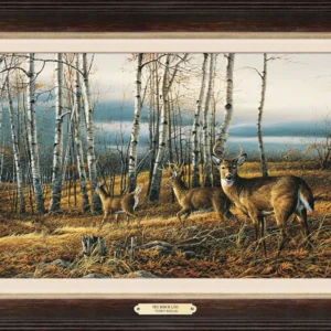 The Birch Line - Whitetail Deer - Encore Canvas