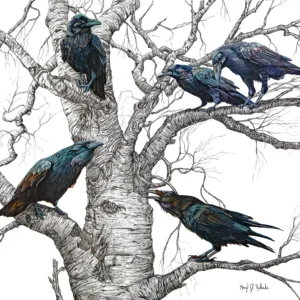 The Curious Gathering - Ravens - Poster Paper