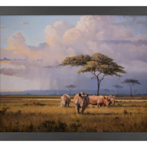 The Plains of Africa - Rhinoceros - 11″ x 14″ Art Print