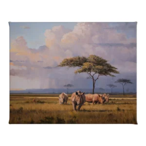 The Plains of Africa - Rhinoceros - 16" x 20.5" Gallery Wrapped Canvas
