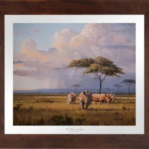 The Plains of Africa - Rhinoceros - Master Artisan Paper