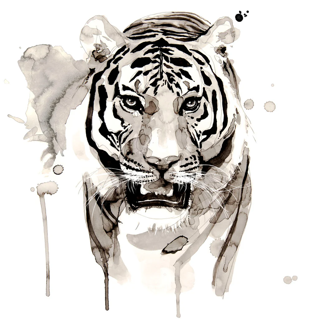 Tiger - Poster Paper