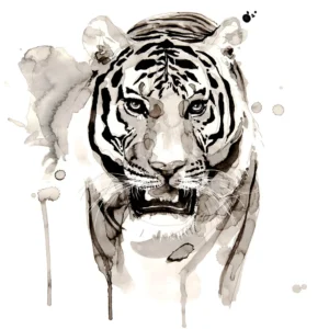 Tiger - Unstretched Canvas