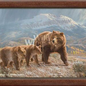 Under the Sleeping Giant - Grizzly Bear - Limited Edition Canvas