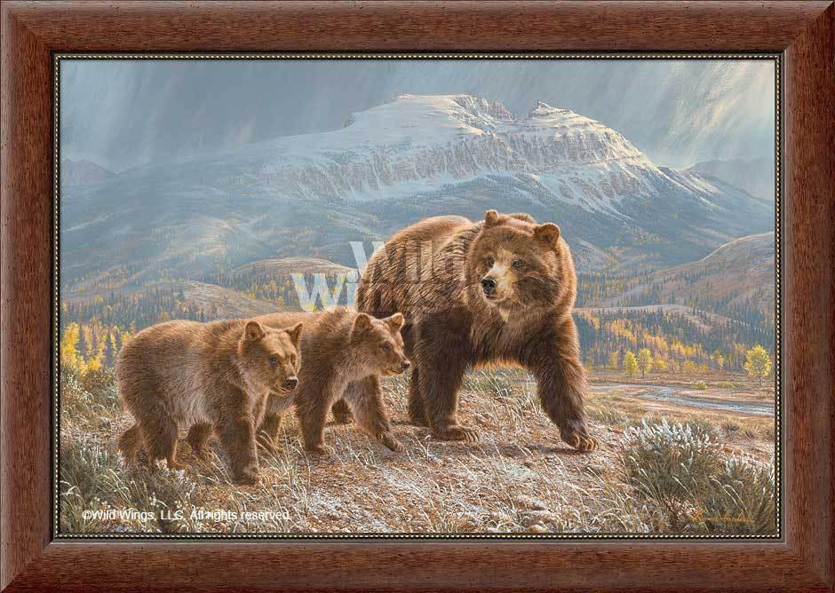 Under the Sleeping Giant - Grizzly Bear - Limited Edition Canvas
