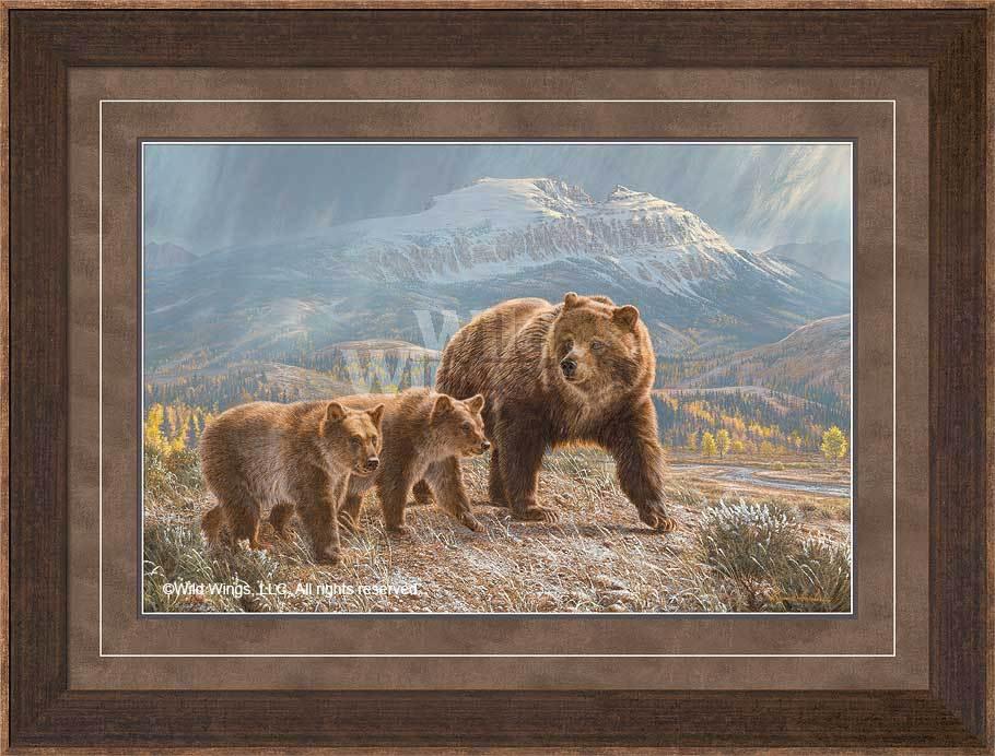 Under the Sleeping Giant - Grizzly Bear - Limited Edition Paper