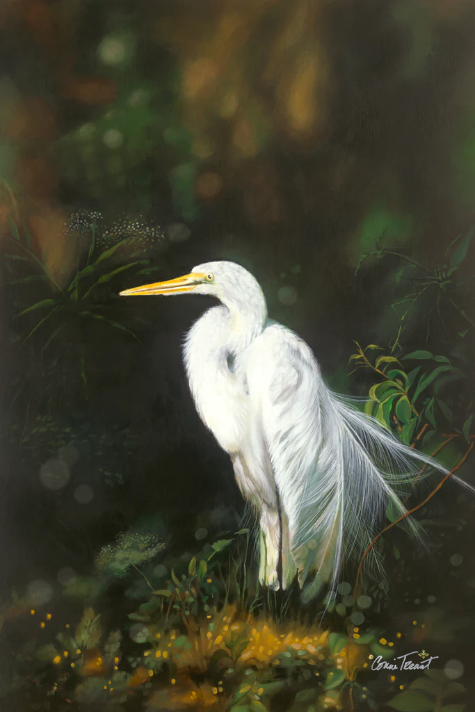 White Egret in Dappled Light - Unstretched Canvas