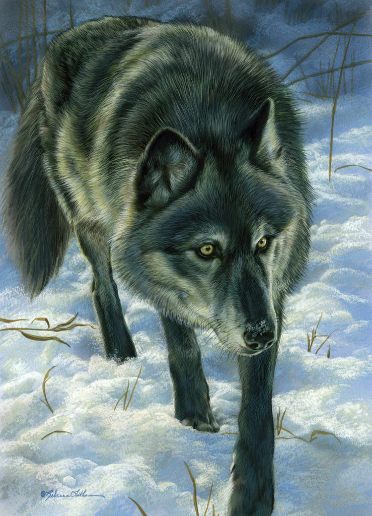 Winter Trail - Wolf - Unstretched Canvas