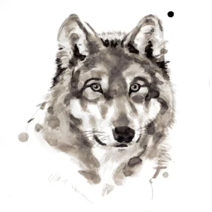 Wolf - Unstretched Canvas