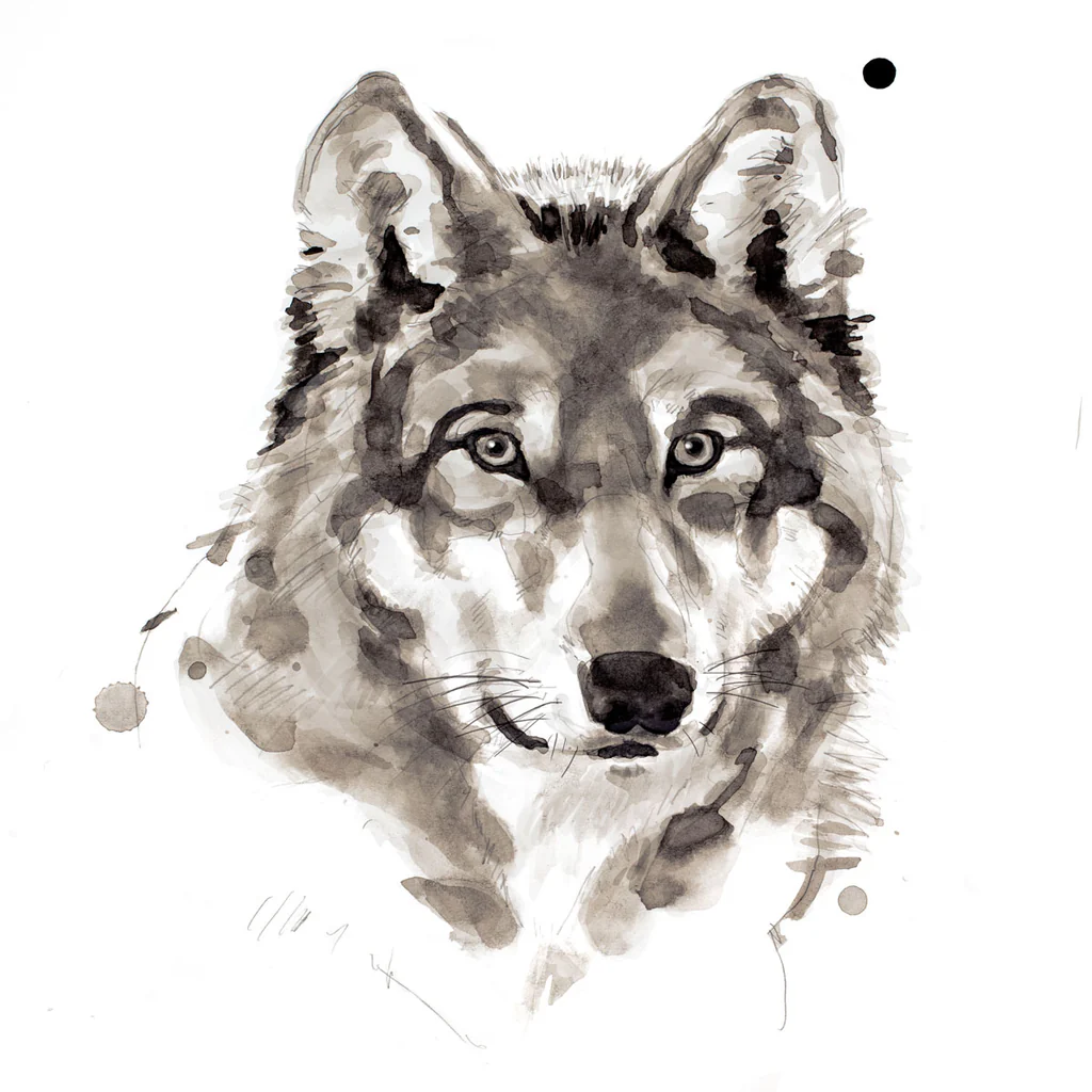 Wolf - Unstretched Canvas