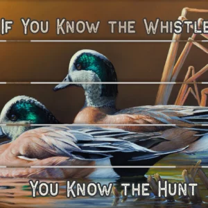 American Wigeon - 18" x 22" Pallet Wall Art