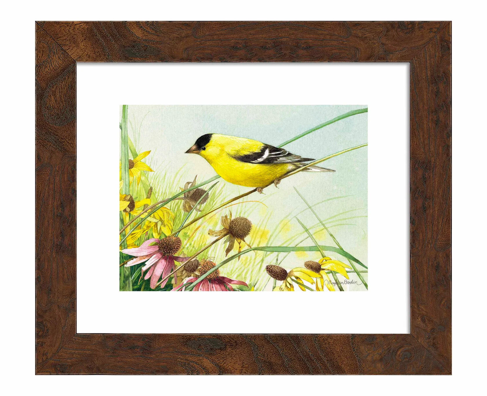 Breathtaking Prairie - American Goldfinch - Art Prints