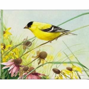 Breathtaking Prairie - American Goldfinch - Gallery Wrapped Canvas