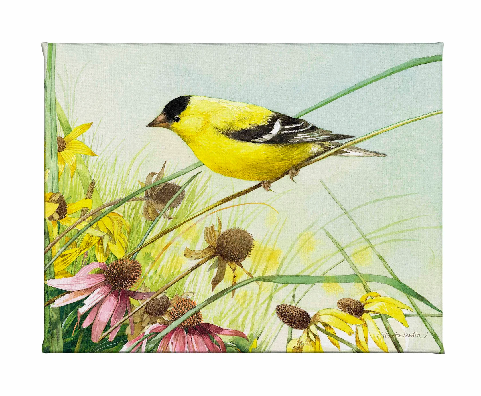 Breathtaking Prairie - American Goldfinch - Gallery Wrapped Canvas