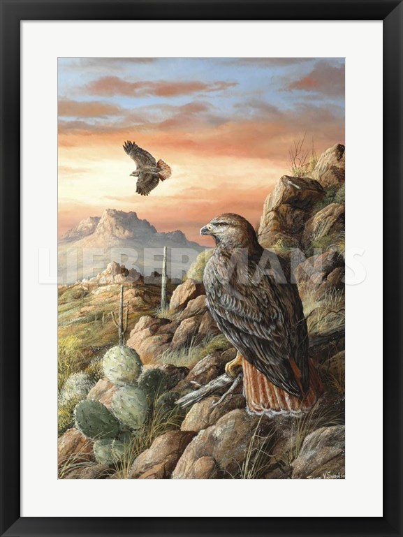 Canyon Hunters - Red-tailed Hawk - 25" x 33" Framed Art Print