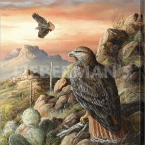 Canyon Hunters - Red-tailed Hawk - 18″ x 26″ Gallery Wrapped Canvas
