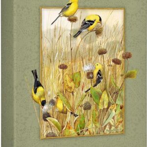 Prairie Canaries - Goldfinches - 9" x 12" Gallery Wrapped Canvas